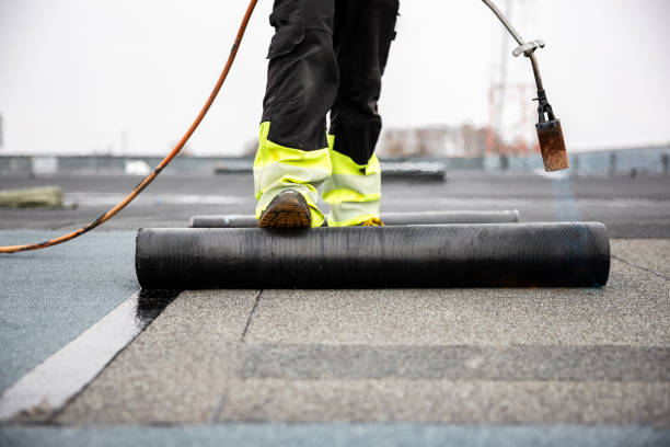 Best Asphalt Shingle Roofing  in Kula, HI