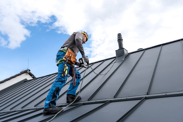 Best Roof Leak Repair  in Kula, HI