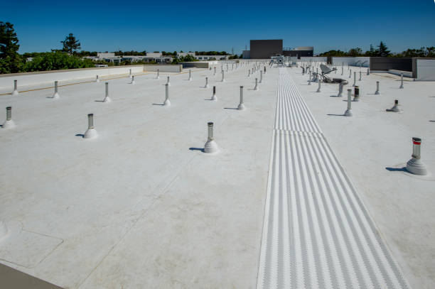 Best Roof Inspection  in Kula, HI